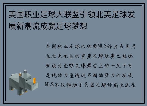 美国职业足球大联盟引领北美足球发展新潮流成就足球梦想